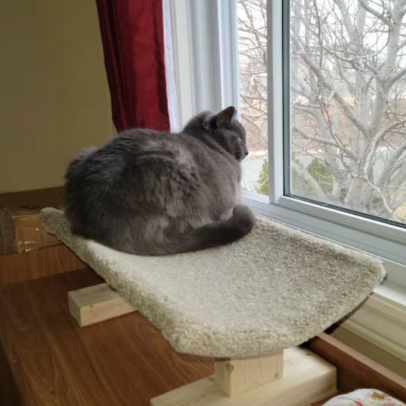 New Cat Bed For Over Registers; The Bedgister - Picture 5 of 12